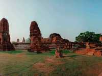 Wat Mahathat: Miraculous Ruins