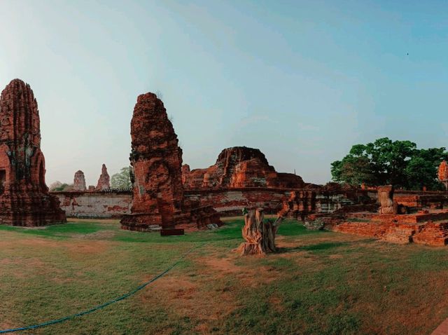Wat Mahathat: Miraculous Ruins