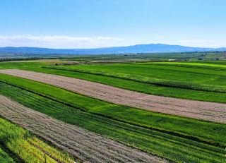 Charming Countryside