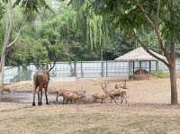 濟南動物園攻略