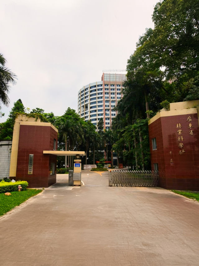 地鐵直達丨INFJ推薦丨廣州6號線上的小眾公園