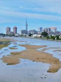 福岡半日Citywalk，不要錯過這條絕美海岸路線