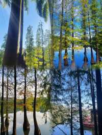 佛山三水森林公園｜免費感受天然氧吧