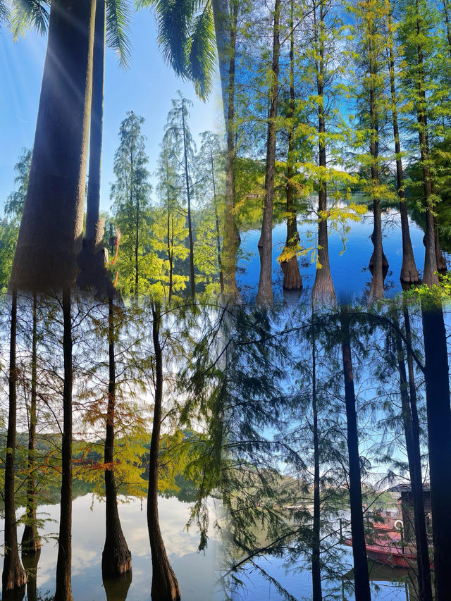 佛山三水森林公園｜免費感受天然氧吧