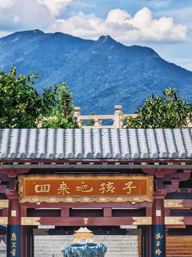 東林寺|江西旅遊除了廬山我更建議你來這裡