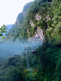 探秘三百山：贛州的自然奇觀與心靈淨土