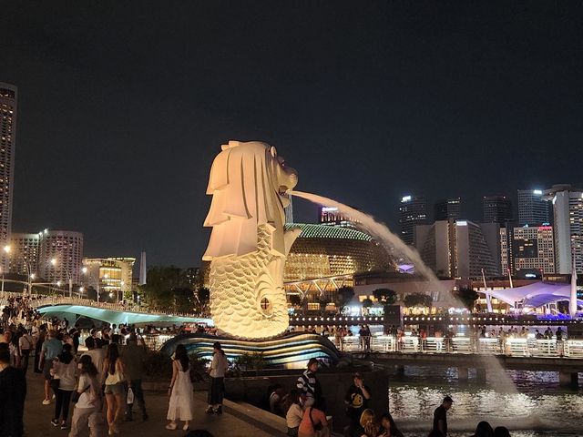 美不勝收的浮爾頓一號。