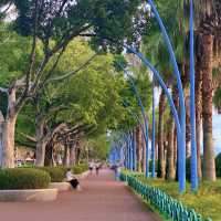 【海灣公園】看日落，看海潮，逛公園，逛市集
