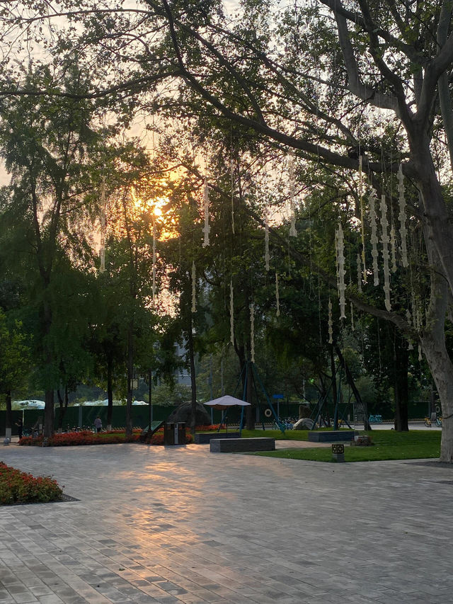 成都適合一個人閒逛的免費公園！摩訶池公園，來了就不想走!