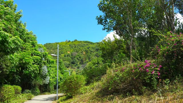 高蓋山公園西大門。