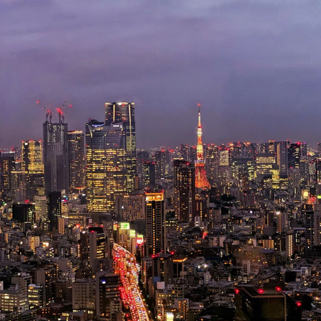 Shibuya sky deck Tokyo Japan 