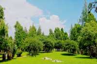 寶豐濕地公園旅遊，環境優美，風景如畫，是休閒遊好去處。