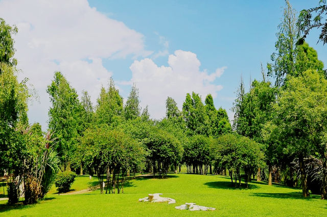 寶豐濕地公園旅遊，環境優美，風景如畫，是休閒遊好去處。