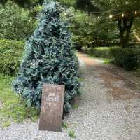 남양주 팔당 힐링 브런치 카페 데이트 팔숲🌳