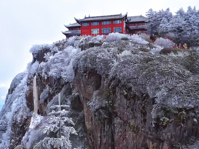 峨眉山雪景：銀裝素裹，紅牆金瓦，莊重神聖