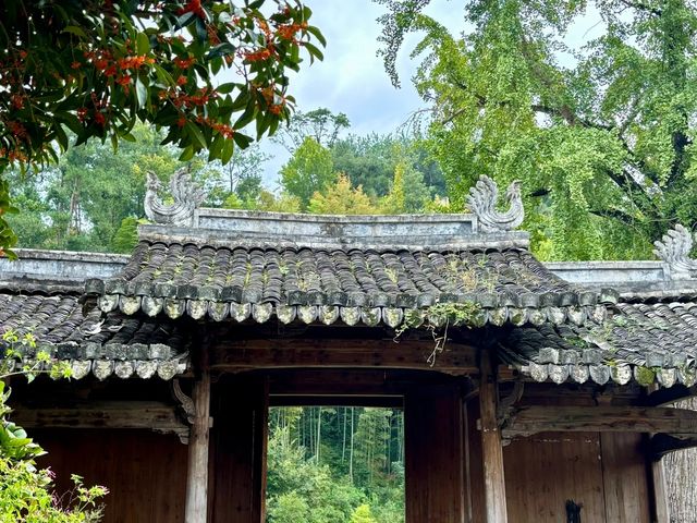 漂亮得讓我感動的浙江農村。 漂亮得讓我感動的浙江農村。