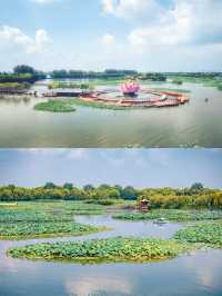 白洋淀位於中國河北省雄安新區安新縣。