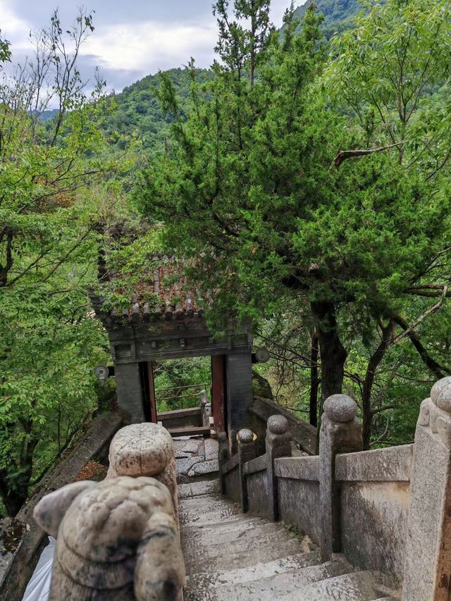 功成身退，一生逍遙。