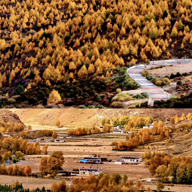 Autumn views during National Day