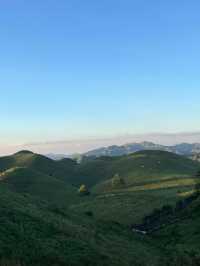 邵陽南山牧場已回，能勸一個是一個。