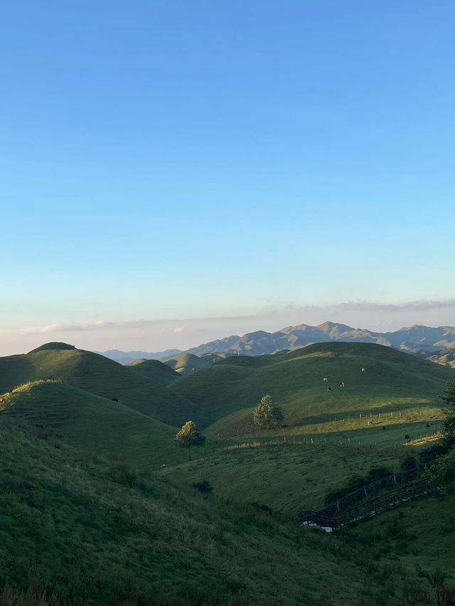 邵陽南山牧場已回，能勸一個是一個。