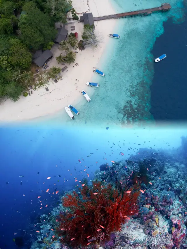 Tawau, Malaysia: A Two-Day Dreamy Encounter