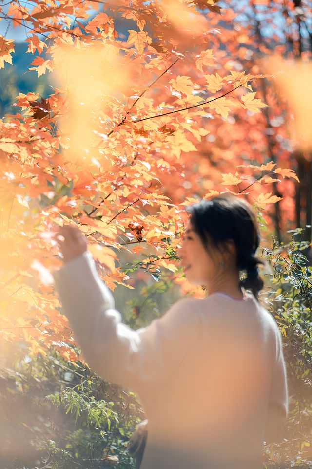 陝西漢中｜不敢想像留壩的秋天如此驚艷。