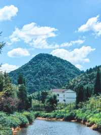 四面山之旅。
