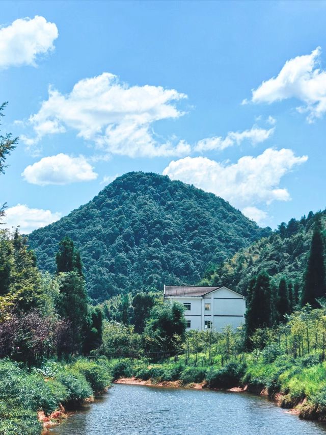 四面山之旅。