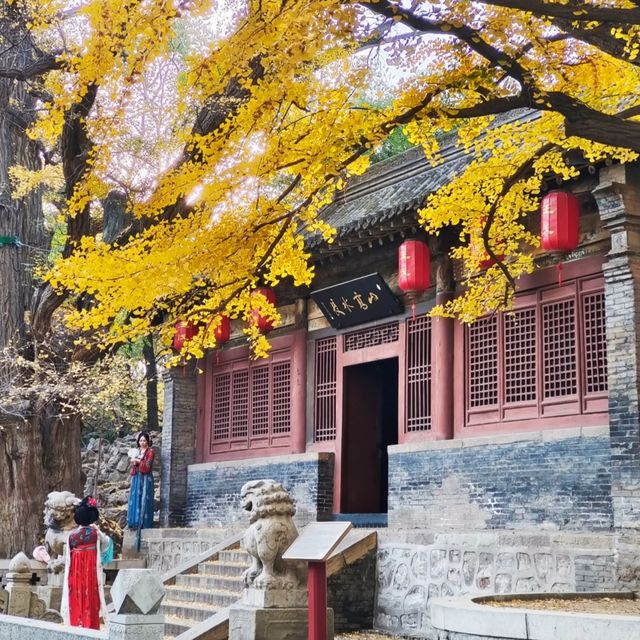 這個秋天被晉祠的銀杏美得令人驚嘆。