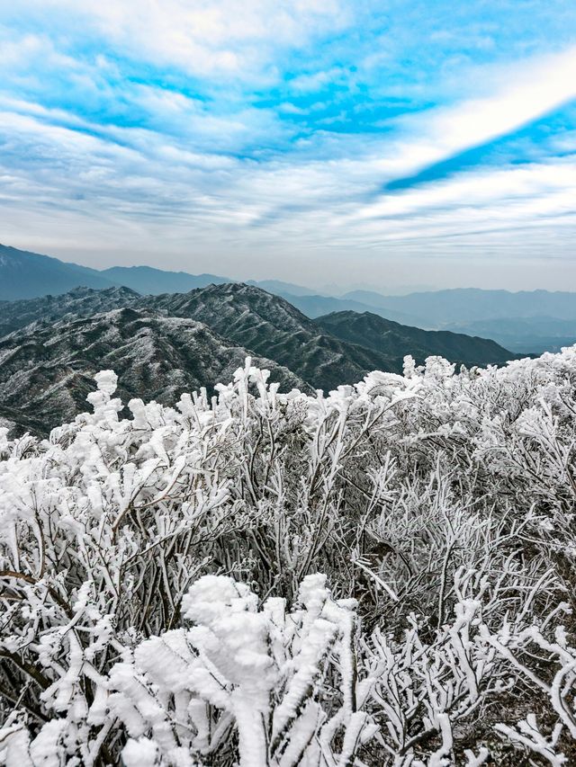 你沒看錯，不出廣東也能賞雪泡湯！