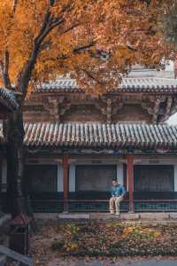 獨樂寺 | 無上國寶，獨一無二。