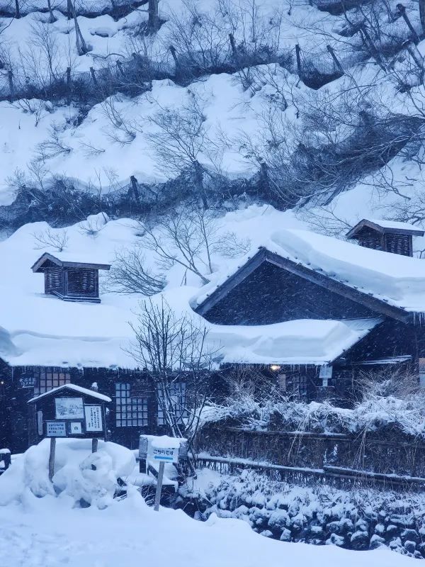 Experience the Hidden Mixed-Gender Hot Springs in Japan