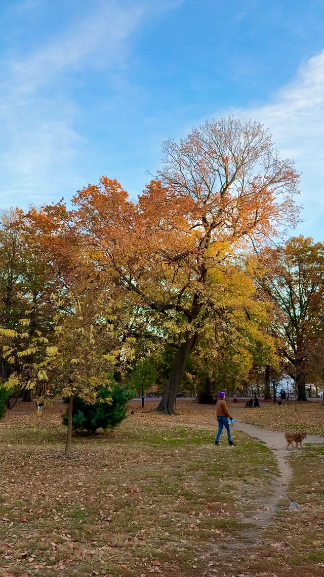 New York | Live Photos: Autumn Palette at Prospect Park