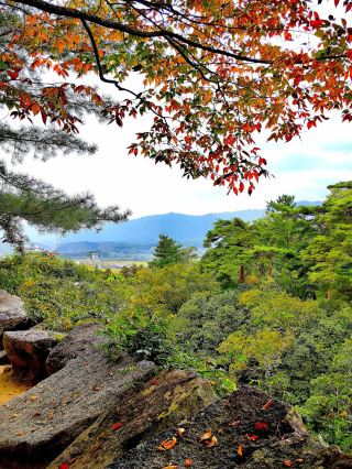 Iga Ueno Castle.