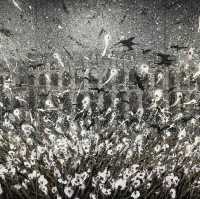 冷酷仙境,極地孤行