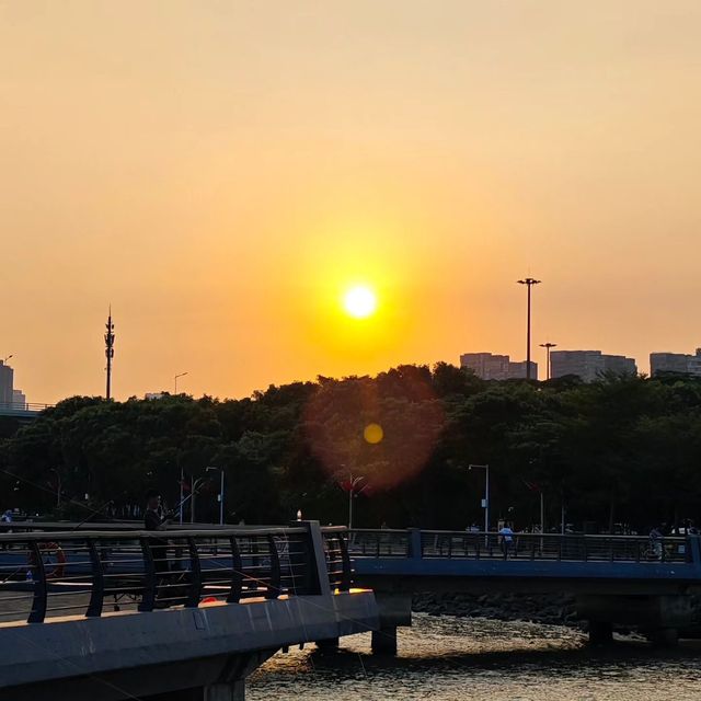 趣遊深圳灣，邂逅自然之美。