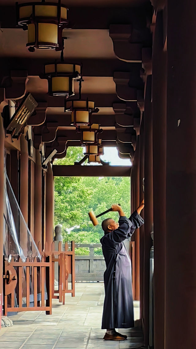 成都丨地鐵直達的小眾寺廟——應天寺。