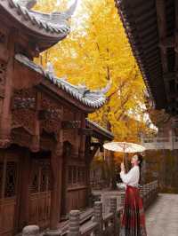 重慶銀杏滿園的寶藏寺廟——寶輪寺。