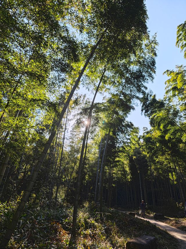 《神龍潭瀑布：探秘自然奇境，暢享山水逸趣之旅》。