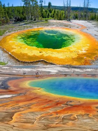 Top1 Yellowstone National Park Travel Guide is Here! [November Update]