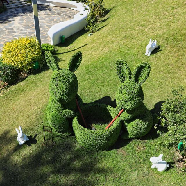 廣州雲蘿植物園遊玩攻略