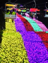 Winter's Hidden Gem: Tokyo's Surrounding Light Shows