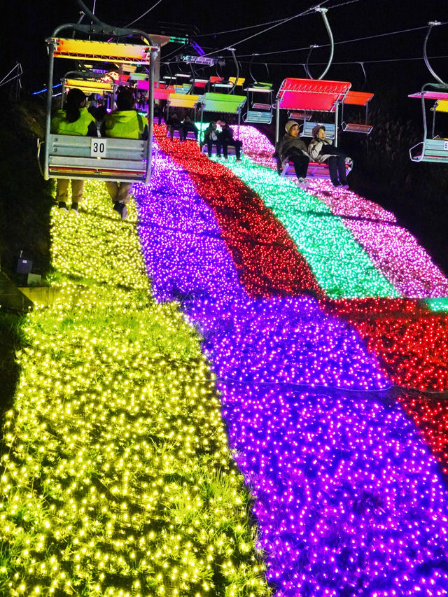 Winter's Hidden Gem: Tokyo's Surrounding Light Shows