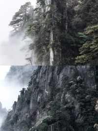 人生建議！一定要來一次羊獅慕！