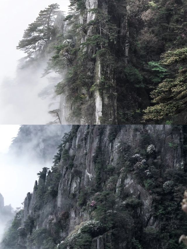 人生建議！一定要來一次羊獅慕！