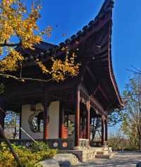 打卡濱江森林公園滈園