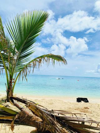 美國冬季5日旅行 不冷不凍只有美景