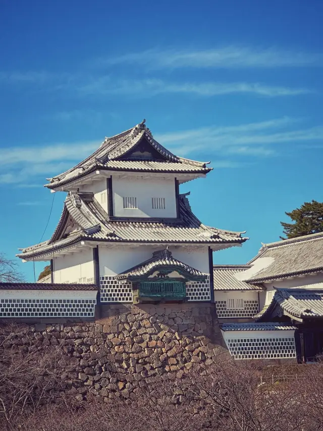 8-day Japan itinerary: Tokyo, Osaka, and more!