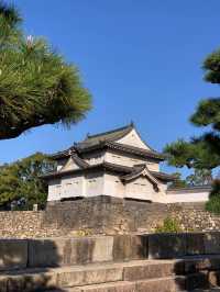 日本7日遊 冬天的浪漫之旅